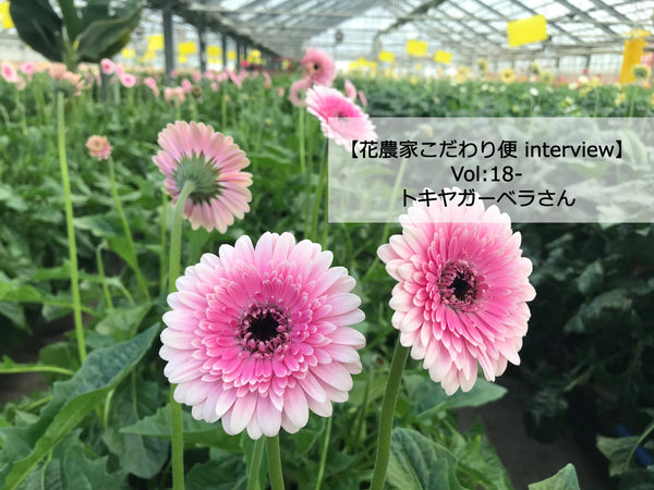 【花農家のこだわり便INTERVIEW】VOL：18