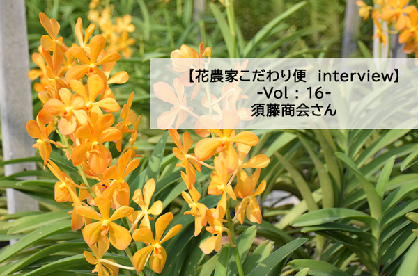 【花農家のこだわり便INTERVIEW】VOL：16