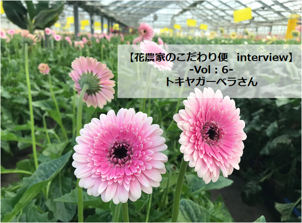 【花農家のこだわり便interview】Vol：6