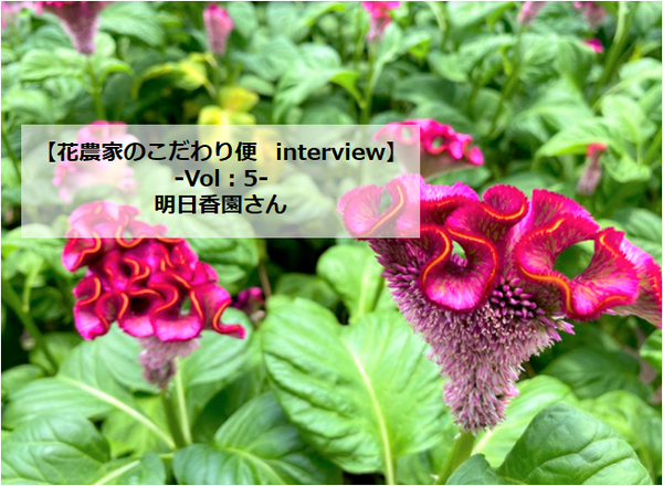 【花農家のこだわり便interview】Vol：5