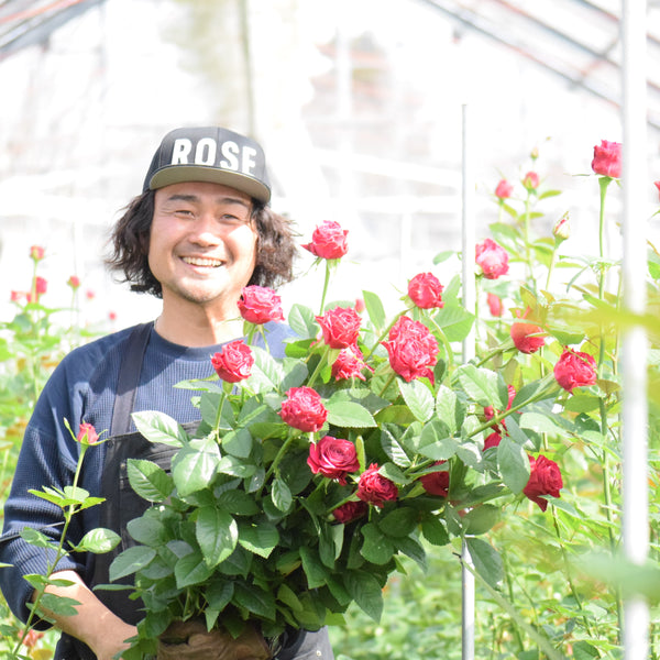 –　365days　花農家のこだわり便　ハナノヒ　季節の花が毎月届くサブスクリプション｜日比谷花壇